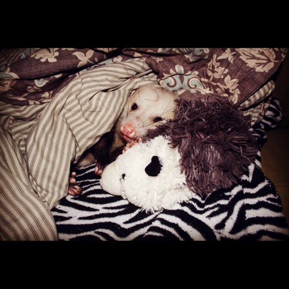 Meet your Posher, Chels - Picture 8 of 12